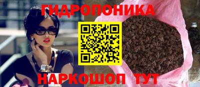 шишки Коммунар