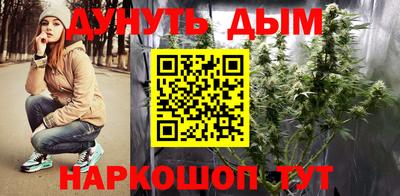 шишки Коммунар